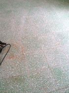 IMG-20161123-WA0004